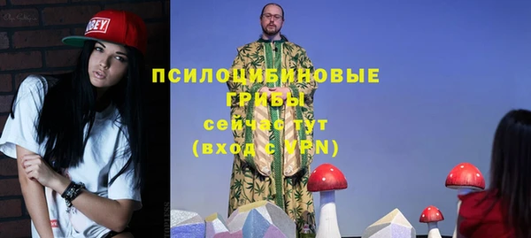 гидра Пестово