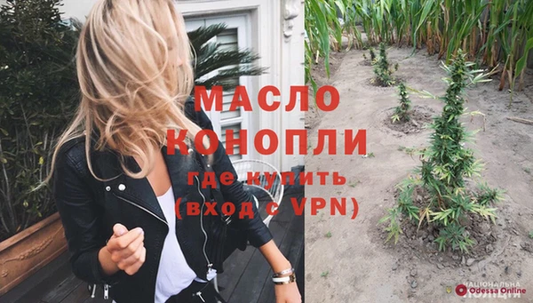 дмт Горняк