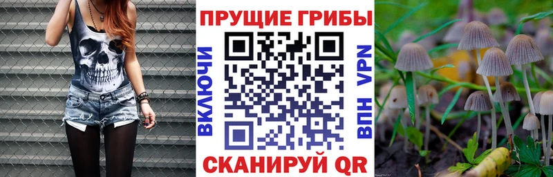 Галлюциногенные грибы Psilocybine cubensis  Сухой Лог 